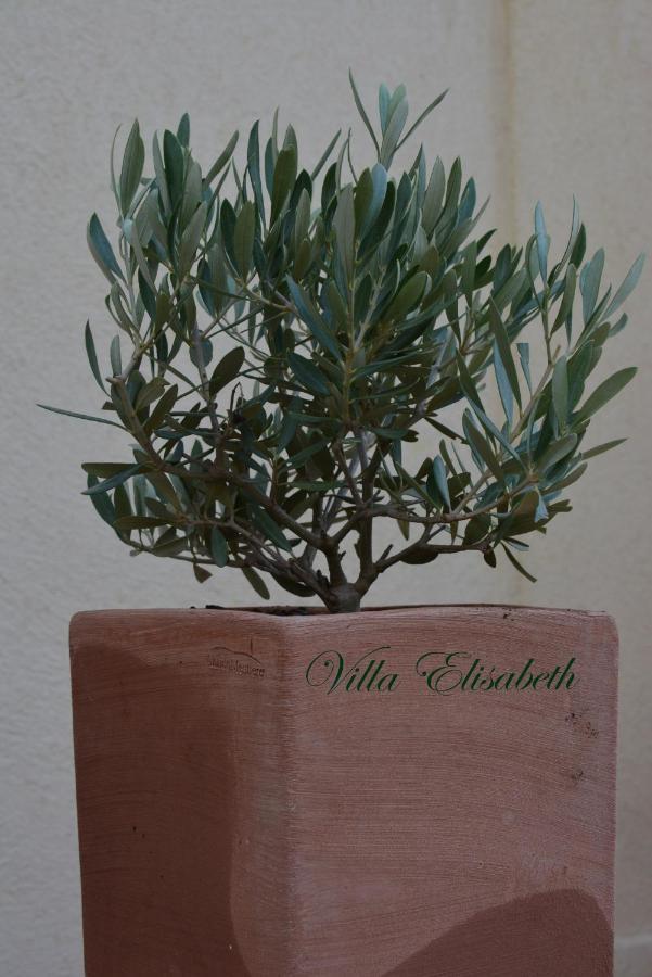 Villa Elisabeth Aix-en-Provence Exteriör bild